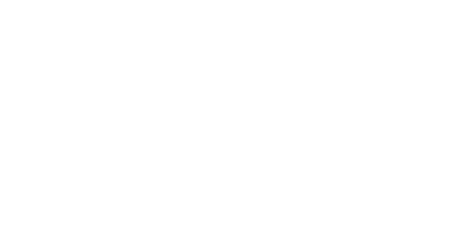 Signature of Piruz Afruz